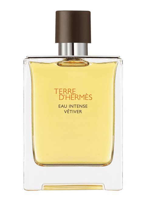 terre di hermes 100 ml|terre d'hermès vétiver.